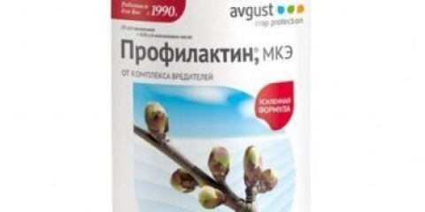 Profilaktin od štetočina: kako pravilno razrijediti za prskanje, recenzije vrtlara